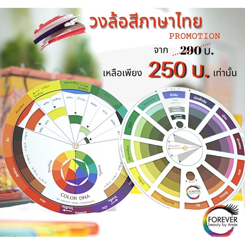 วงล้อสี Color Wheel สื่อผสมสี ฉบับภาษาไทย ใช้ง่าย สำหรับแนะแนวการผสมสี  สำหรับ งานศิลปะ และ งานช่าง คุณภาพสูง | Shopee Thailand