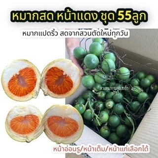 หมาก ชุด 55 ลูก ตัดใหม่จากสวนทุกวัน หมากสด หน้าขาว หรือหน้าแดง หมากแปดริ้ว