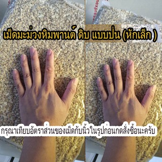 เม็ดมะม่วงหิมพานต์ ดิบ แบบป่น (หักเล็ก/ดิบ) ถุง1KG &amp; 500กรัม