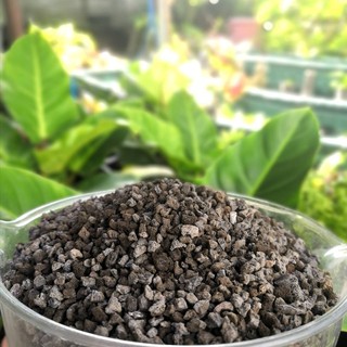 หินภูเขาไฟสีดำ(Black volcanic stone) หินลาวาดำ วัสดุปลูก