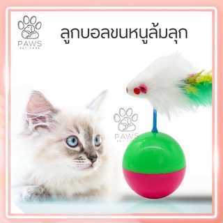 PAWS PET CARE🙀ของเล่นแมวลูกบอลขนหนู