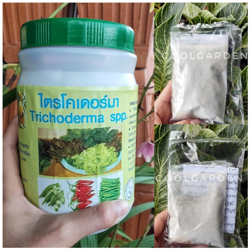 ไตรโคเดอร์มา 50 กรัม 100 กรัม ( แบ่งขาย )