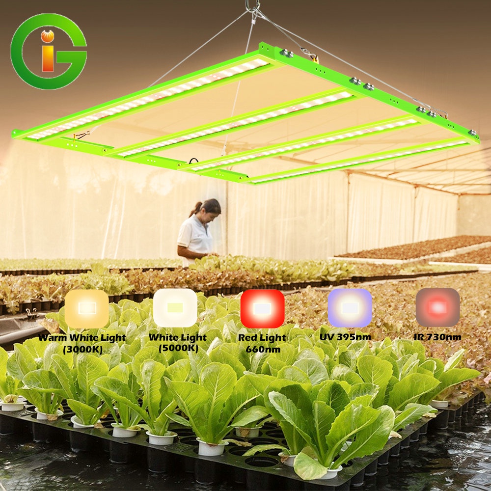 กรอบ LED Grow Light Spectrum เต็ม Samsung LM281B จำลองแสงแดด ไฟปลูกต้นไม้ สำหรับเรือนกระจกในร่ม Grow