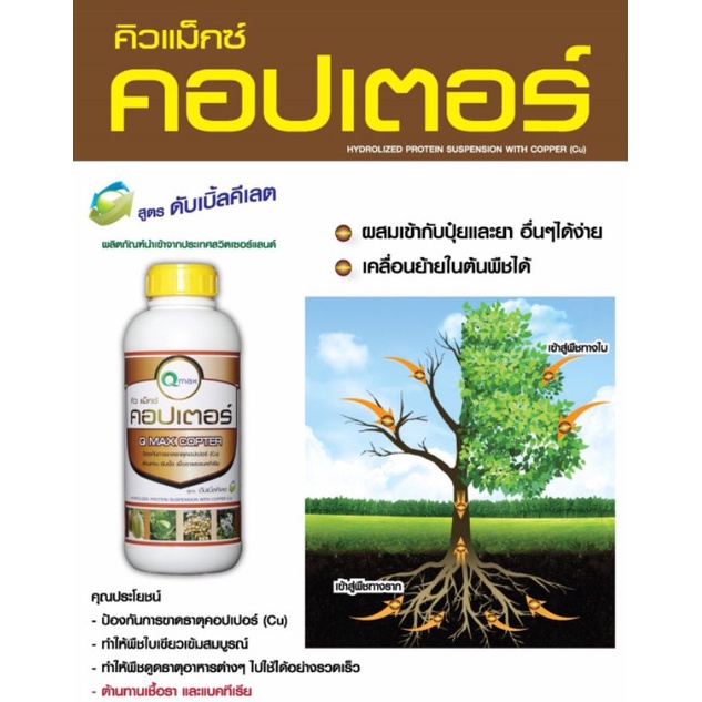 คิวแมกซ์ คอปเตอร์ ป้องกันการขาดธาตุคอปเปอร์ (Cu) พืชแข็งแรง