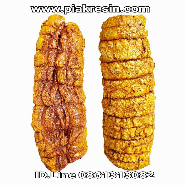 โมเดล หมูกรอบชาชูปลอม เรซิ่น 	ชิ้นละ 800 บาท กว้าง 10 ยาว 26 หนา 8 CM โมเดลหมูกรอบชาชู  หมูกรอบปลอม 