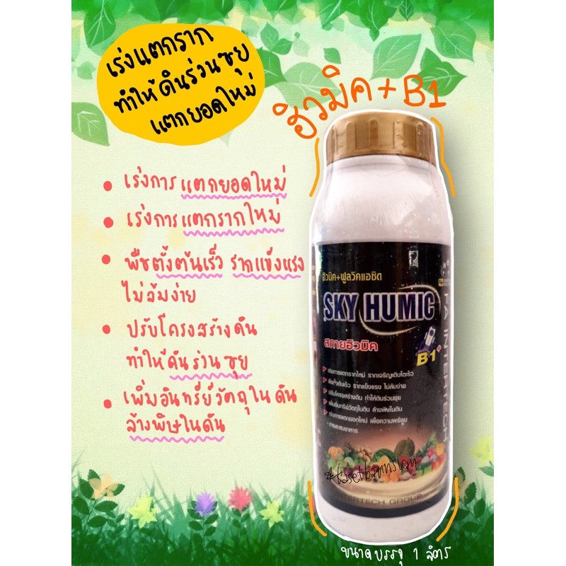 🌲สกายฮิวมิค ฮิวมิคน้ำ+ฟูลแอซิด B1 เร่งการแตกรากใหม่ ทำให้ดินร่วนซุย  ล้างพิษในดิน รากแข็งแรง | Shopee Thailand