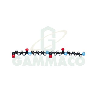 แบบจำลองโมเลกุล Polyvinyl Chloride (5 Monomer Units) (-CH2CHCl-)n [30MKS1112]