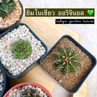 🍃💚  ยิ ม โ น เ ขี ย ว original สวยไม่ซ้ำใคร ต้องมีสะสมไว้นะคะ💚🍃