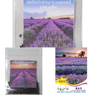 เมล็ด ลาเวนเดอร์ 130-650เมล็ด ไม่ใช่ลาเวนเดอร์อังกฤษ Provence Lavander  (French Blue)