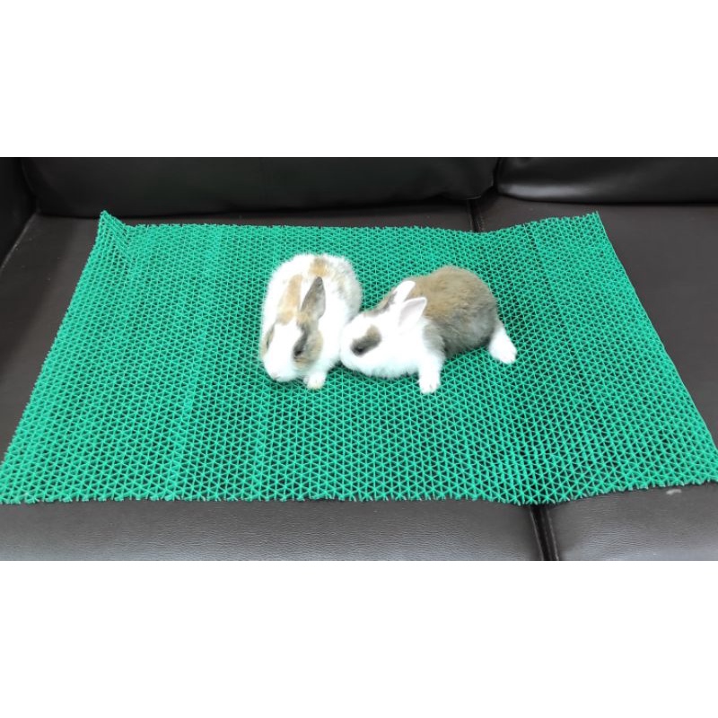 แผ่นยางรองกรงสัตว์เลี้ยงไม่ให้เจ็บเท้า กันลื่น และกันตกร่องกรงลูกสุนัข แมว กระต่าย ชูการ์ไรเดอร์ มี 3 ขนาด - รูปที่ 3