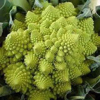 เมล็ดบล็อคโคลี่ เจดีย์ - Romanesco Broccoli