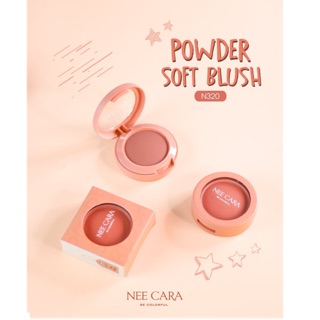 N320 POWDER SOFT BLUSH