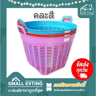 Small Evting เข่ง พลาสติก เบอร์ 6 คละสี (แพ็ค 3 ใบ) เข่งปลูกต้นไม้ หนา แข็งแรง