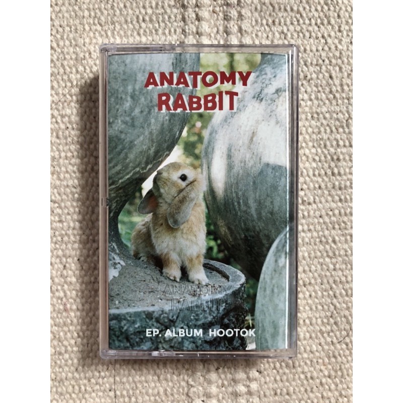 เทปเพลง anatomy rabbit ใครสาวกกระต่ายมาเอาไปเลย