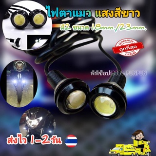 ไฟสปอร์ตไลท์  1คู่ ไฟตาแมวแสงสีขาว ราคาถูกส่งไว