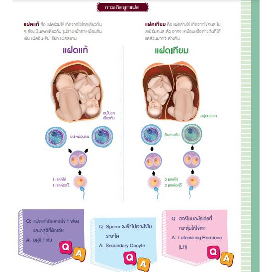 SHORT NOTE AND TEST ติวเข้ม ชีวะ ม.ต้น พร้อมแนวข้อสอบ พิชิตข้อสอบเต็ม 100% (Think Beyond : IDC) 6249 - รูปที่ 2