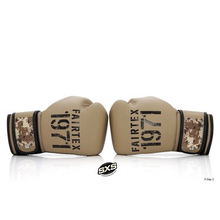 Fairtex Boxing Gloves BGV25 F-Day2