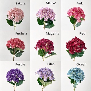 Premium Hydrangea TY3 ดอกไฮเดรนเยียปลอมเกรดพรีเมียม