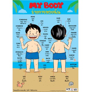 โปสเตอร์เรื่องร่างกายของฉัน My Body #EP-507 โปสเตอร์พลาสติก