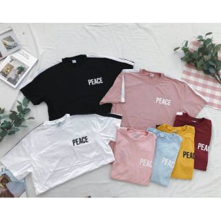 เสื้อโอเวอร์ไซส์ พร้อมส่ง