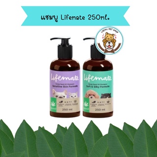 แชมพู Lifemate ไลฟ์เมท 250ml.สารสกัดจากน้ำมันเมล็ดกัญชงอ่อนโยนต่อผิวเหมาะสำหรับสุนัขและแมวทุกวัย