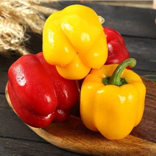 เมล็ดพันธุ์แท้100% อัตราการงอกสูง ซื้อ 50 เมล็ด (ไม่ใช่พืช)  Mixed Hybrid Bell Pepper Vegetable Seeds