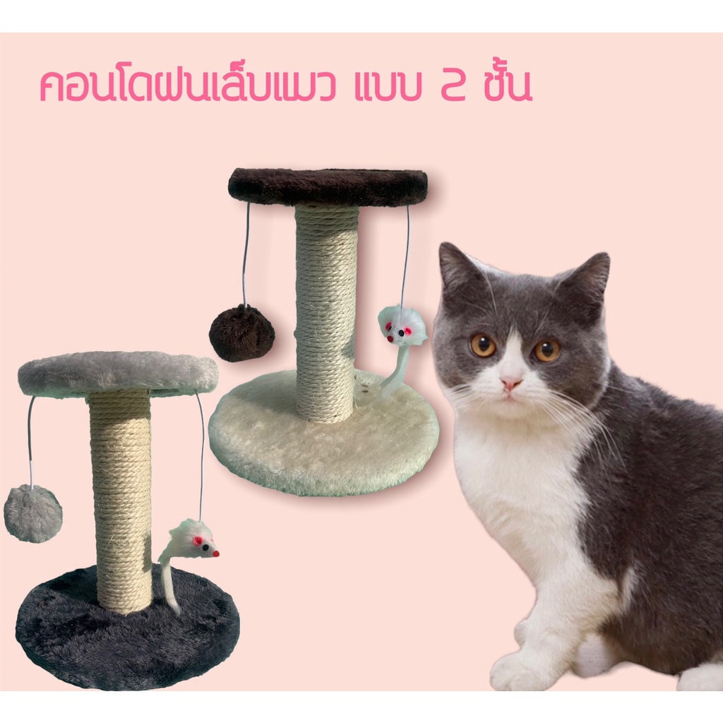 ✨New✨ คอนโดฝนเล็บแมว ของเล่นแมว 2 ชั้น สินค้าพร้อมส่งในไทย (Cat climbing frame)  #P002