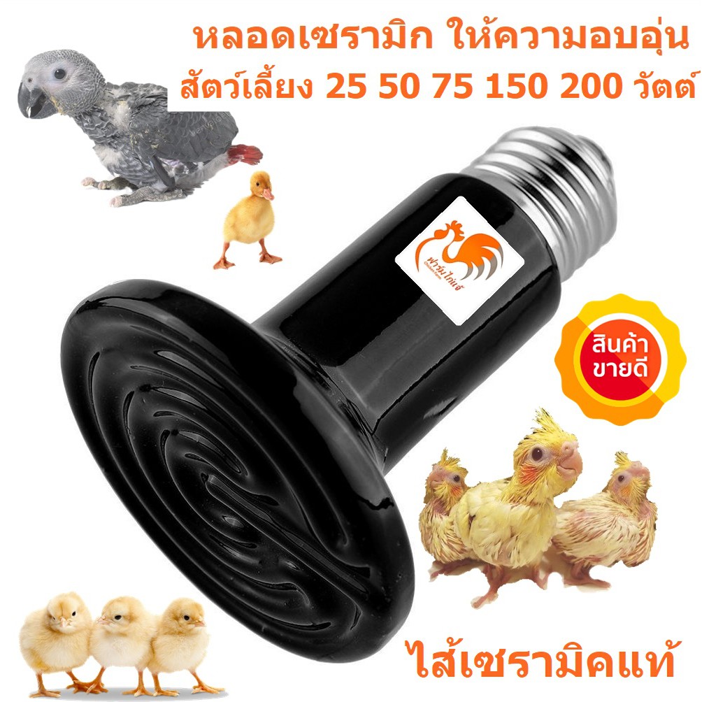หลอดเซรามิกคุณภาพสูง ไร้แสงรบกวน ชุดปรับความร้อน ให้ความอบอุ่นสัตว์เลี้ยง อนุบาลสัตว์เลี้ยง