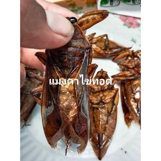 แมงดาไข่ทอด(เมียไข่) 5 ตัว