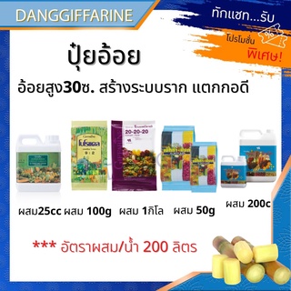 ปุ๋ยอ้อย อ้อย30ซม.รากระบบราก แตกกอดี ลำใหญ่ ใบหนา ปุ๋ยกิฟฟารีน โบโรแคล เกรทกรีน เม็กก๊าซิงค์ ปุ๋ยเกล็ด เม็กก๊าซิงค์