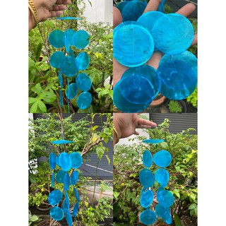 โมบายเปลือกหอยกระดิ่งลมย้อมสีฟ้าขนาด8x39เซนติเมตร รุ่นกลมเปลือกหอยแท้