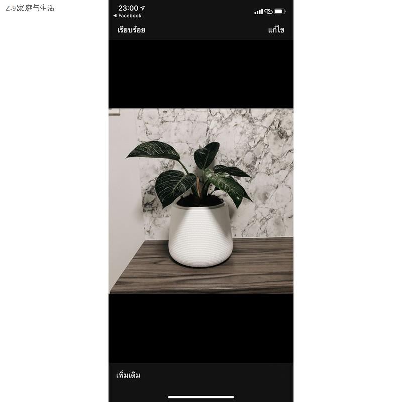 ►﹍กระถาง kuppa กระถางต้นไม้ กระถางเบลล่า 5" กระถางพลาสติก กระถาง5นิ้ว