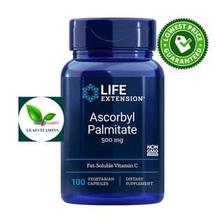 Life Extension Ascorbyl Palmitate 500 mg / 100 Vegetarian Capsules