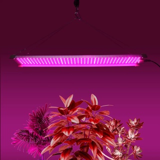 AC85-256V Full Spectrum LED Grow Light 850W ไฟปลุกต้นไม้ ไฟช่วยต้นไม้โตเร็ว แสงแดง แสงธรรมชาติ มีสวิตช์ปิดเปิด สายไฟยาว1.5โมตร