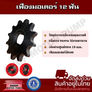 เฟืองมอเตอร์บัสเลส 12 ฟัน เส้นผ่าศูนย์กลาง 19 mm (เฟืองมอเตอร์บัสเลส,เฟืองจักรยาน)