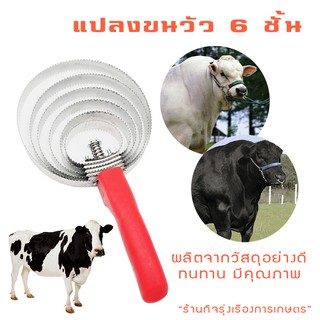 แปรงเกาขนวัว แปรงเกา แพะ แกะ ม้า 6 วง - สแตนเลสแท้‼️