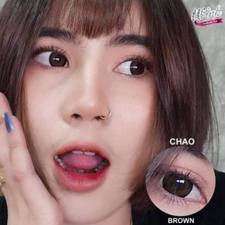 Chao Brown Gray สีเทา สีน้ำตาล น้ำตาล ขอบดำ โทนแบ๊ว ตาโต Wink Lens Contact Lens Bigeyes คอนแทคเลนส์ ค่าสายตา สายตาสั้น