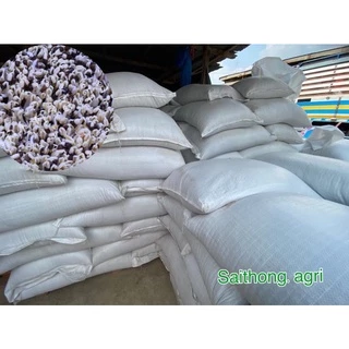 ถั่วแขกเพาะงอก ไทย/พม่าขนาด 1 กก.sorted grade เหมาะต่อการเพาะถั่วงอก
