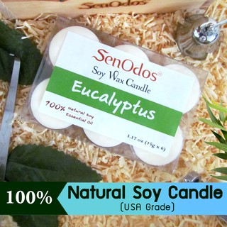 SenOdos เทียนหอม อโรม่า ทีไลท์ เทียนหอม Tealight Set Eucalyptus ขนาดพกพา ขนาดทดลอง กลิ่นยูคาลิปตัส  15 g. (6 ชิ้น)