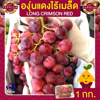 องุ่นไร้เมล็ด  องุ่นแดง 1 กก. นำเข้าจากออสเตรเลีย องุ่นนำเข้า Grapes องุ่น ผลไม้สด ส่งฟรี