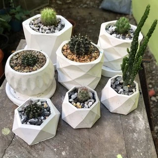 กระถางกระบองเพชร🌵ขนาดกลาง
