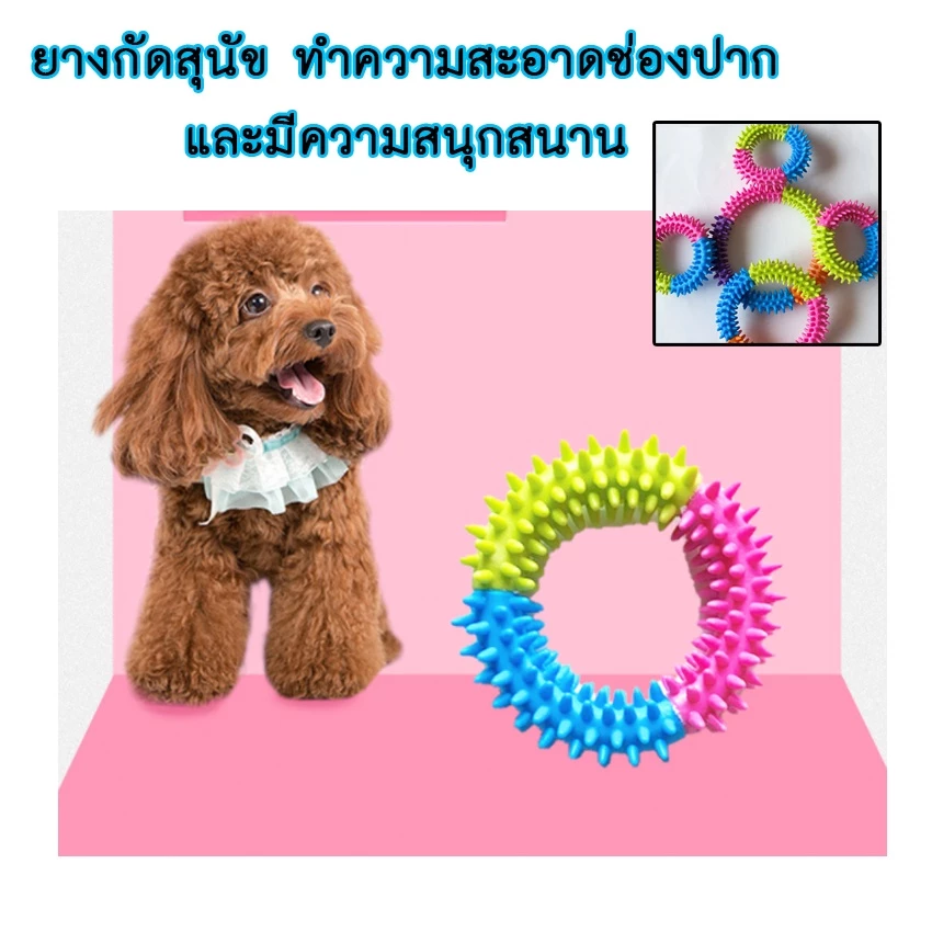 AL-205 ของเล่นสุนัข ยางกัด ของเล่นหมา แมว 🔥 พร้อมส่ง 🔥