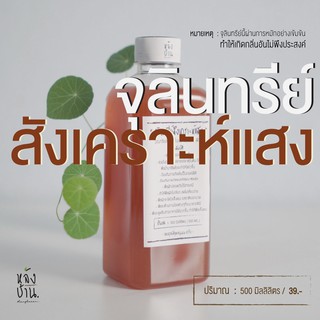 จุลินทรีย์สังเคราะห์แสง (อินทรีย์สารที่เป็นประโยชน์ต่อพืช)