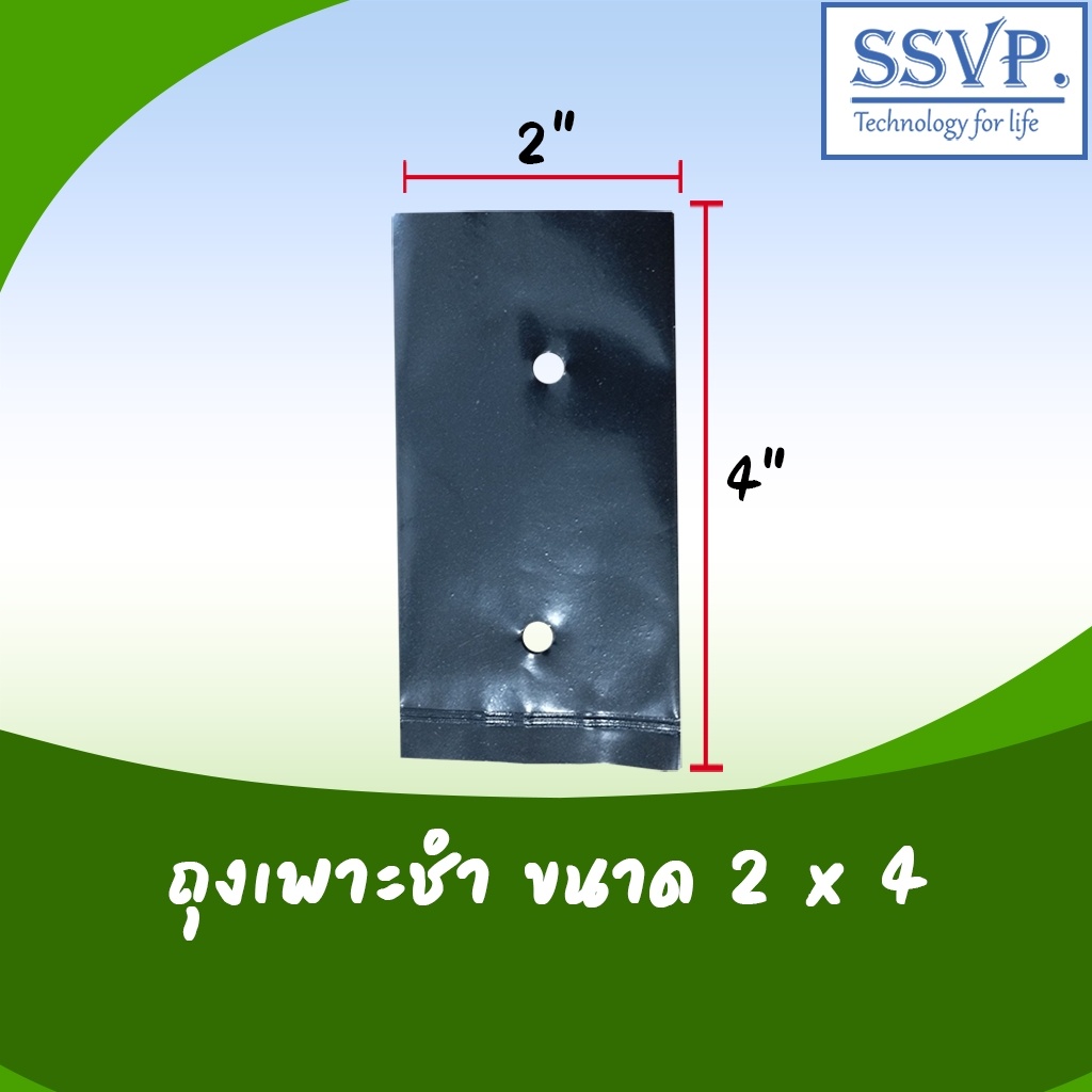 ถุงเพาะชำอย่างดี  ขนาด 2 x 4  เกรด A บรรจุ 1 กิโลกรัม