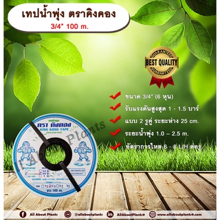 เทปน้ำพุ่ง ตราคิงคอง 3/4 “ 100 m. เทปน้ำพุ่ง แบบ 2 รูคู่ ขนาด 3/4 นิ้ว (6 หุน) ยาว 100 ม. Allaboutplants