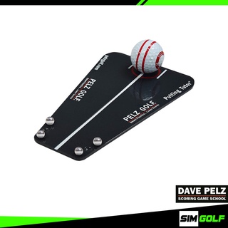 Dave Pelzs (DP4007) Putting Tutor | SIM GOLF