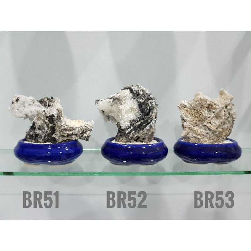 LIVING CRYSTAL STONE DECORTATIONS & MOUNTAIN CRYSTAL STONES.