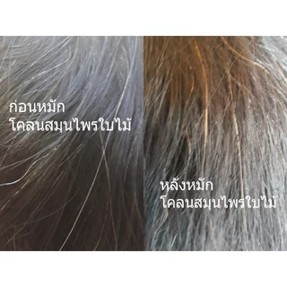 ปิดผมขาวสมุนไพร ใบเทียนกิ่ง(เฮนน่า) โคลนใบไม้หมักผมสมุนไพร ปริมาณ 150 กรัม