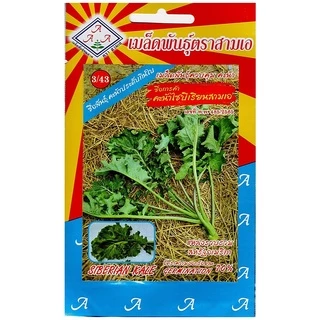 (เลือกชนิดได้) เมล็ดพันธุ์ คะน้าเคล Kale เคล ใบหยิก สการ์เล็ตเคล บลูเคล ไดโนเคล เคลไซบีเรียน เคลรัสเซียน เคลม่วง scarlet