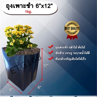 ถุงเพาะชำ 6”x12” 1 kg. ถุงเพาะชำสีดำ ถุงเพาะชำกล้าไม้ ต้นไม้ ถุงดำ